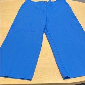 NWT Ann Taylor “The Kate” Wide Leg Crop Pant in Bright Happy Nile Blue, sz14